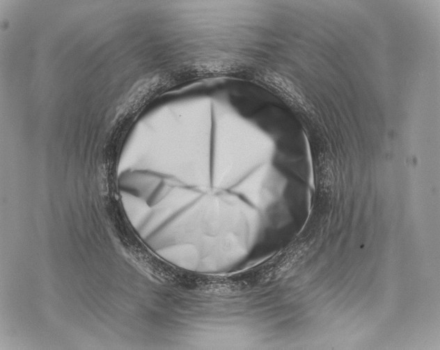 X0000075360738200609291500