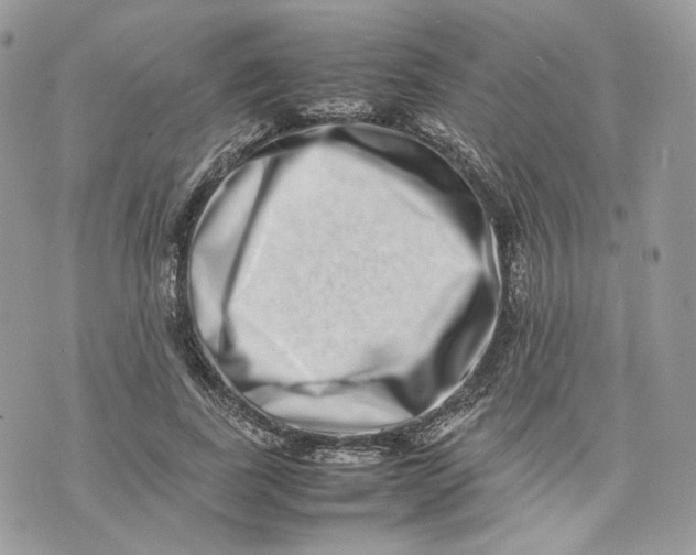 X0000075360739200609291500