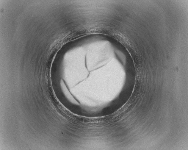 X0000075360740200609291500