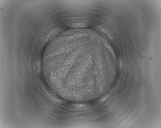 X0000075360741200609291500