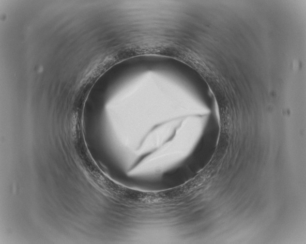 X0000075360742200609291500