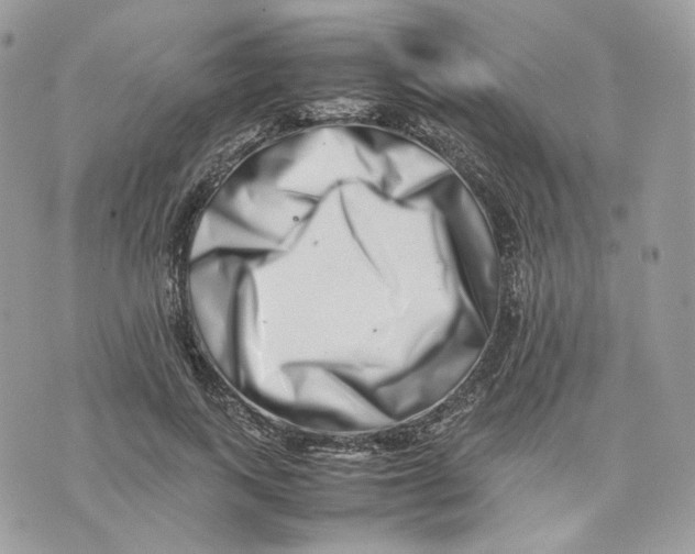 X0000075360743200609291500