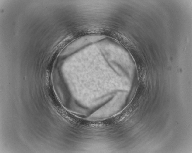 X0000075360744200609291500