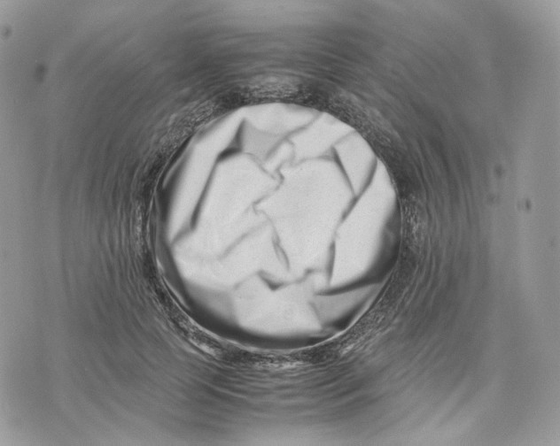 X0000075360745200609291500