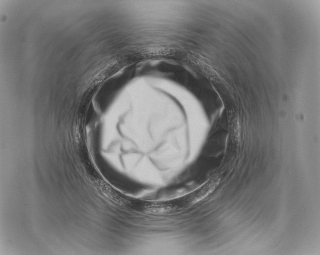 X0000075360746200609291500