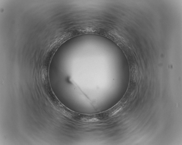 X0000075360747200609291500