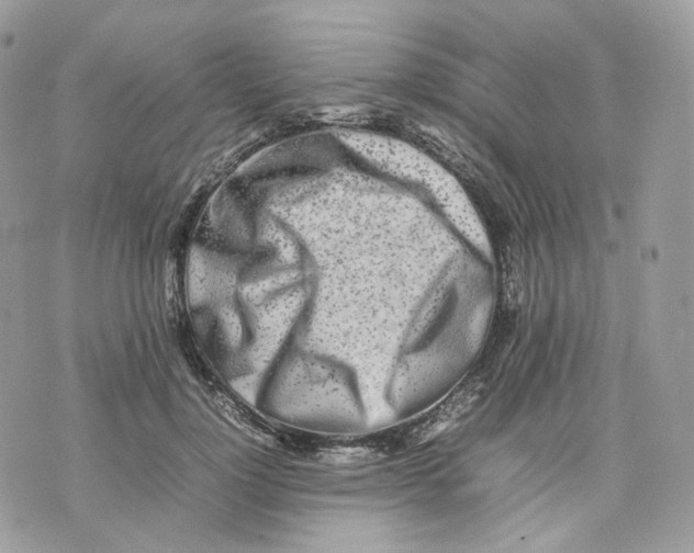 X0000075360748200609291500