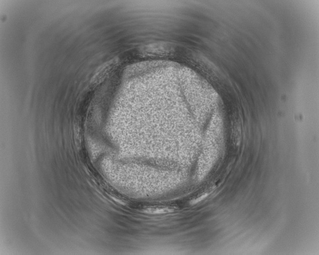 X0000075360749200609291500