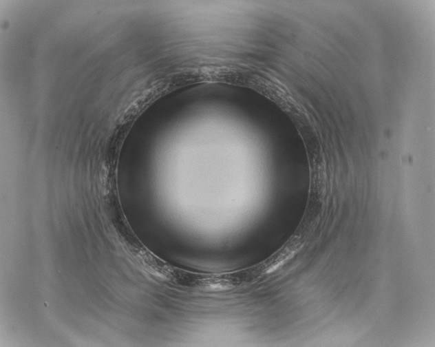 X0000075360750200609291500