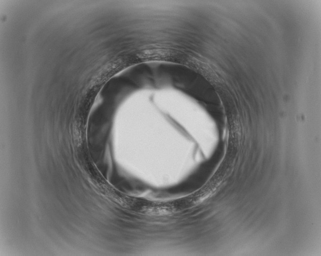 X0000075360751200609291500