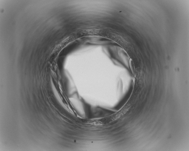 X0000075360752200609291500