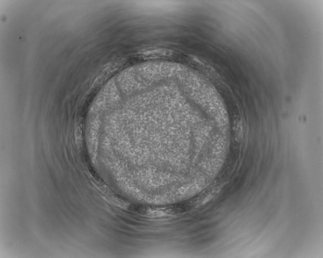 X0000075360753200609291500