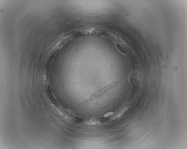 X0000075360754200609291500