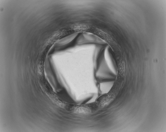 X0000075360755200609291500