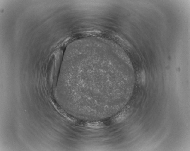 X0000075360757200609291501