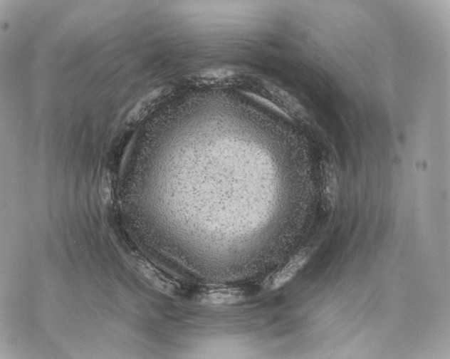 X0000075360758200609291501