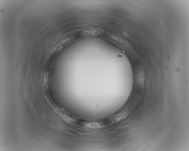 X0000075360759200609291501