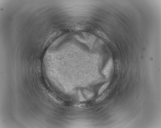 X0000075360760200609291501