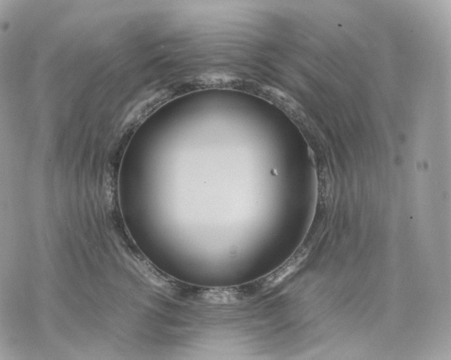 X0000075360762200609291501