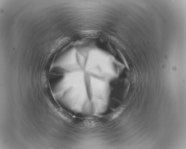 X0000075360764200609291501