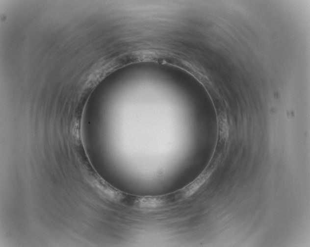 X0000075360766200609291501