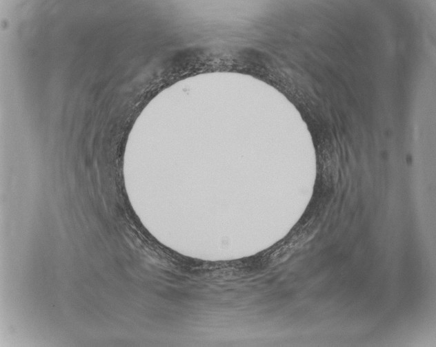 X0000075360769200609291500