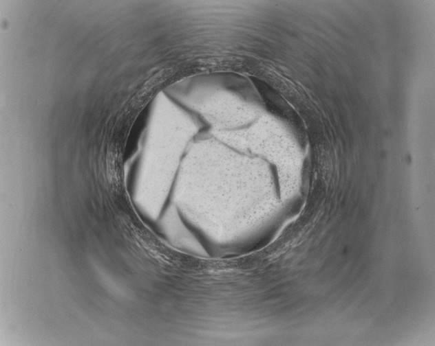 X0000075360770200609291500