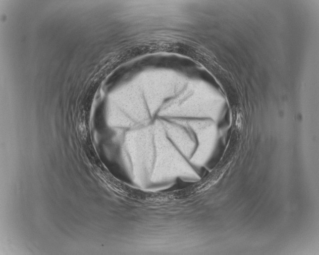 X0000075360771200609291500