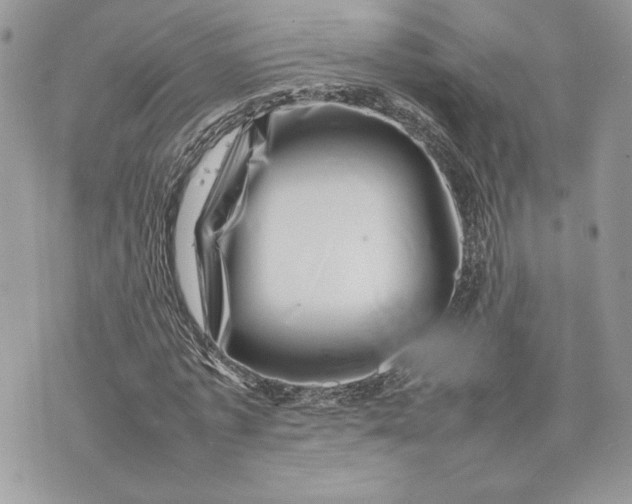 X0000075360773200609291500