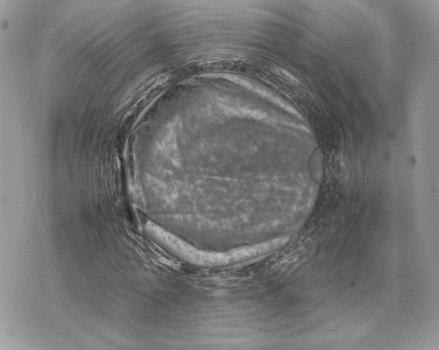 X0000075360774200609291500