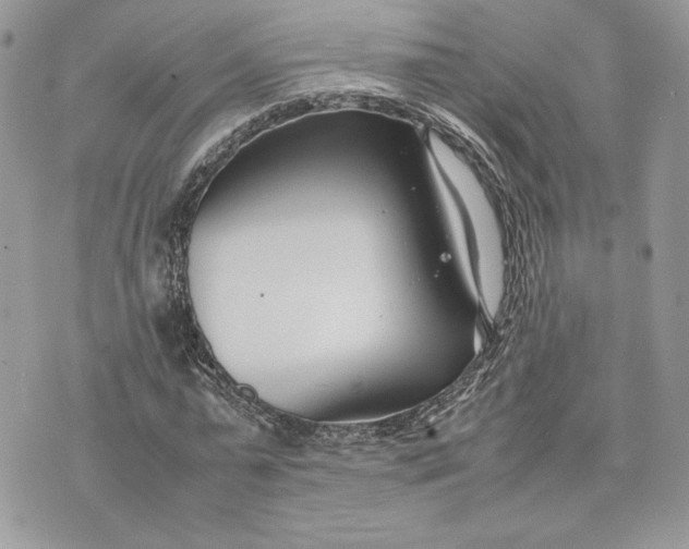 X0000075360775200609291500