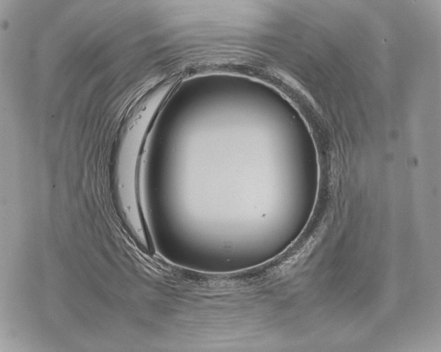 X0000075360777200609291500