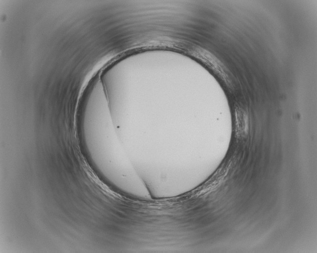 X0000075360780200609291500