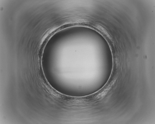 X0000075360781200609291500