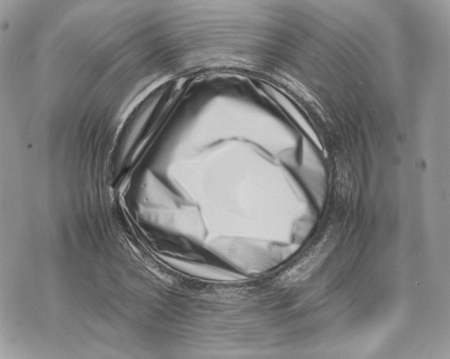 X0000075360782200609291500