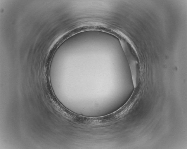 X0000075360783200609291500