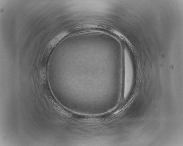 X0000075360785200609291500