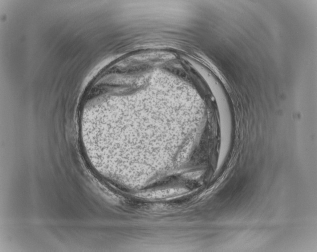 X0000075360787200609291500