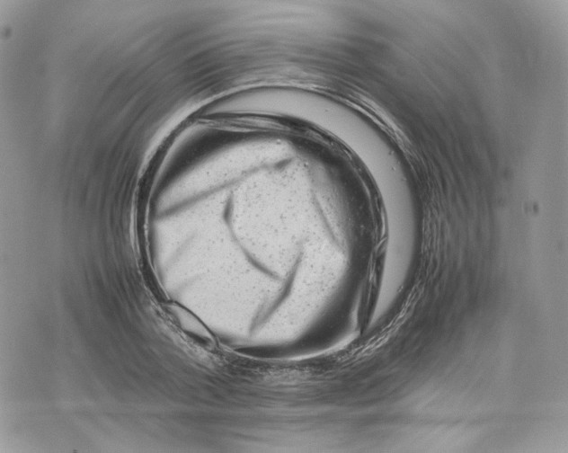 X0000075360788200609291500