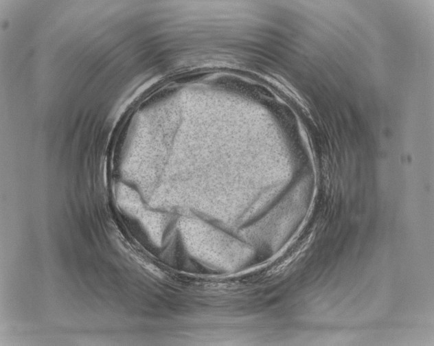 X0000075360790200609291500