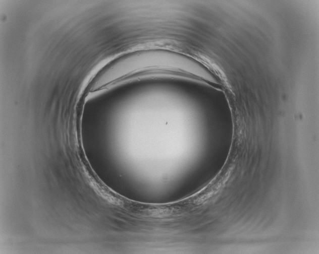 X0000075360792200609291500