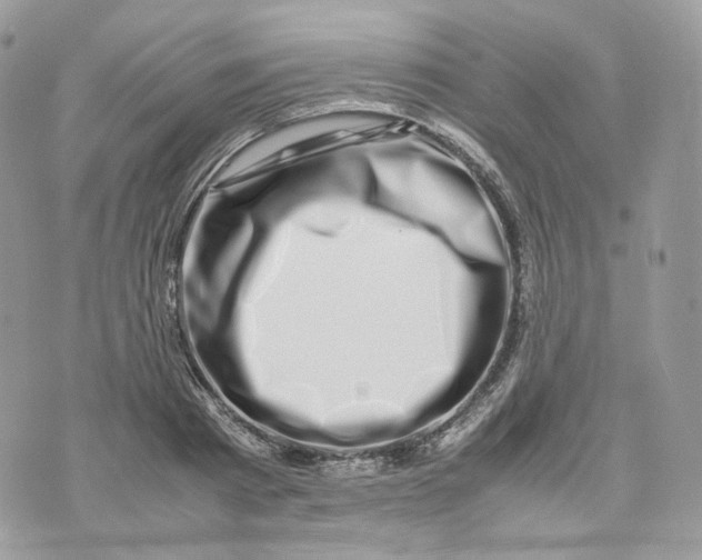 X0000075360793200609291500