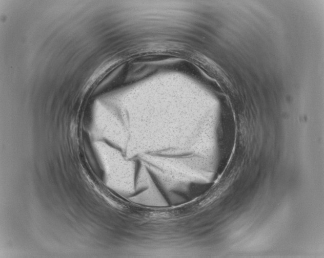 X0000075360794200609291500