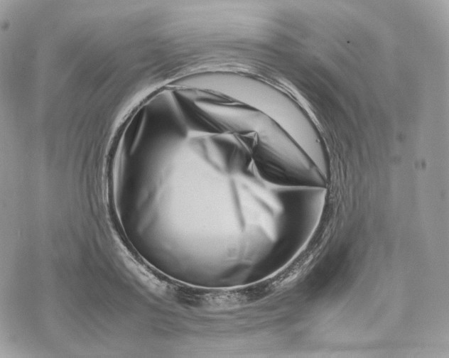 X0000075360795200609291500