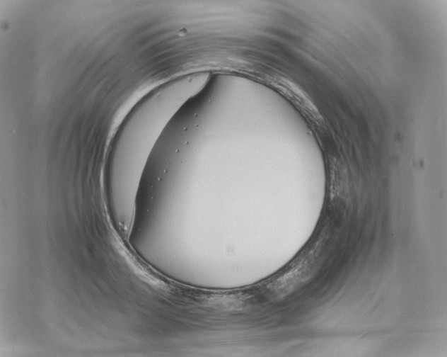 X0000075360796200609291459