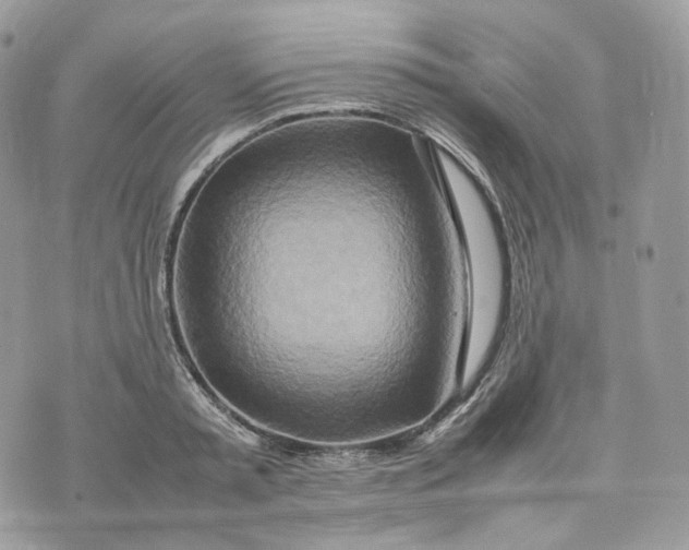 X0000075360797200609291459