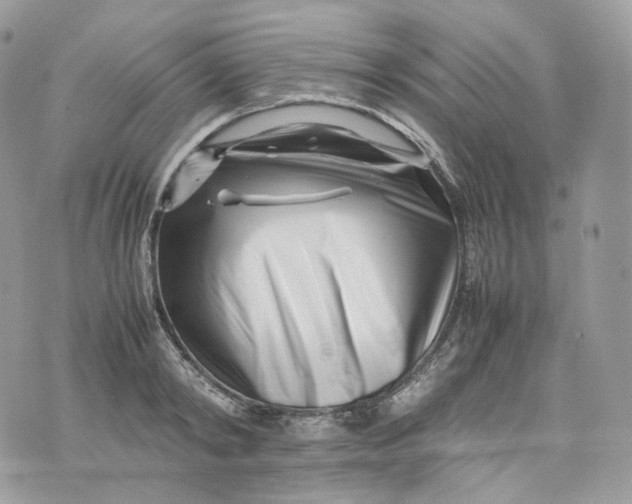 X0000075360798200609291459