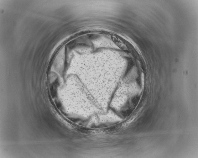 X0000075360799200609291459