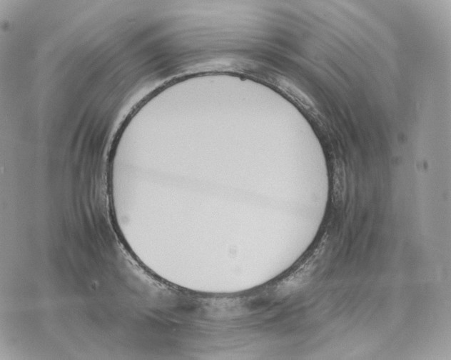 X0000075360800200609291459