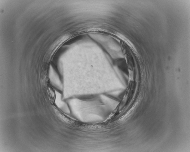 X0000075360801200609291459